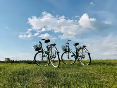 Guest house Gridino Village - 21