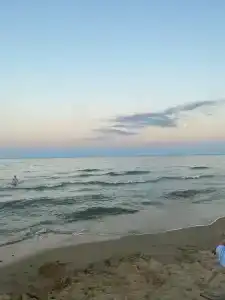 Дельфин2 - 41