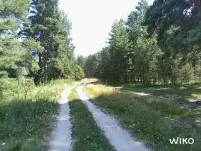 Белые бугры - 8