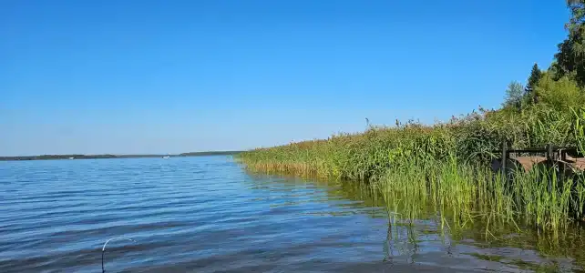 Спарта - 74