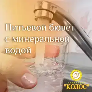 Колос - 43