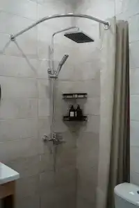 Хвоя - 15