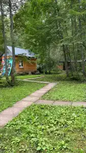 Березка - 38