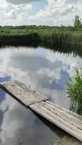 Ивушка - 7