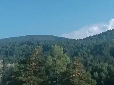 Усадьба - 11
