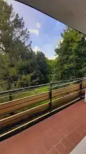 Березки - 61