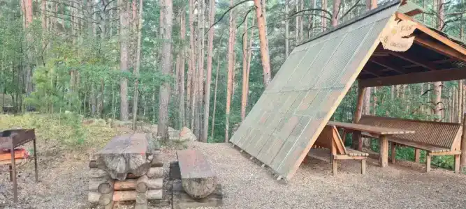 Сосновый бор - 53