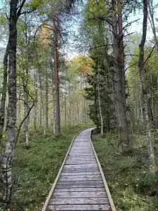 Визит-центра - 16
