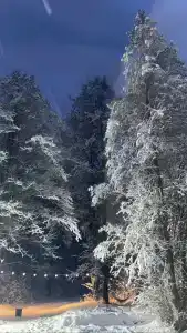 Глэмпинг Shanti Home - 92