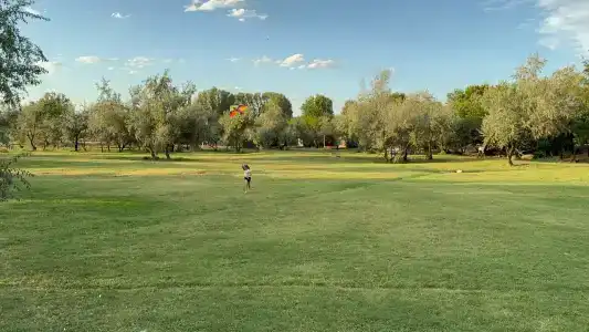 Баклушино - 22