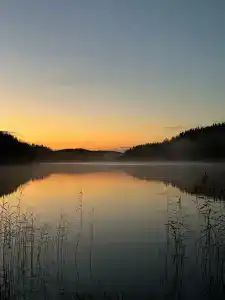 Карельские Лага - 24