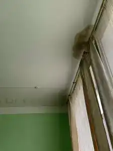 Городня - 10
