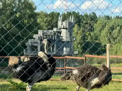 Капитанский Остров 57 - 15