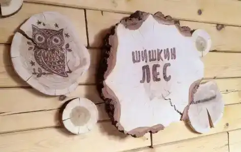 Шишкин лес - 11