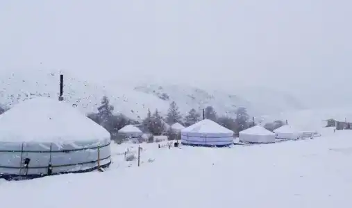 Тыдтуярык - 31
