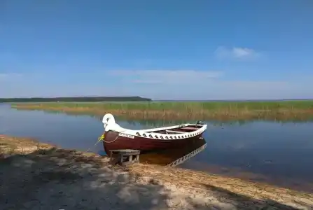 Курмойла - 14