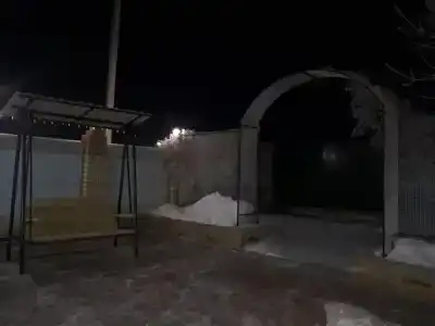 СоНата - 1