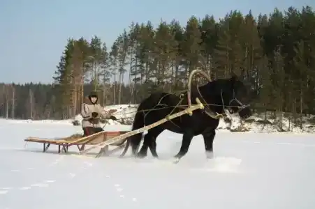Русская деревенька - 31