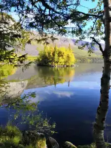 Медвежий угол - 8