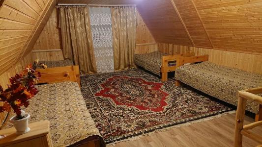 Диоскур - 15