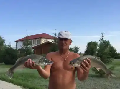 Волга-Волга - 32