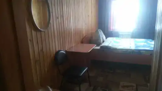 Подсолнух - 10