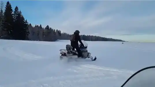 Снегоходия - 55