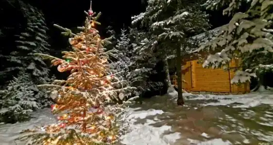 На Ореховой - 20
