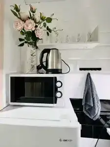 Полярник - 85