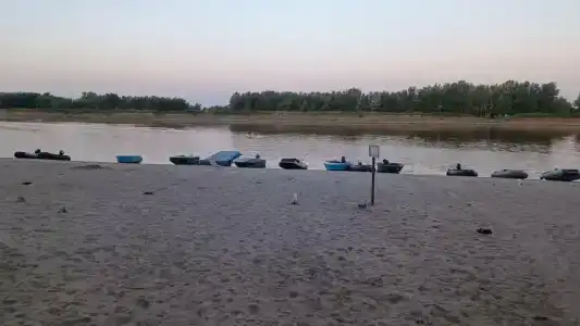 Лес и Рыба - 36