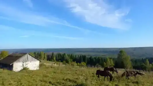 Конная база в Михайловском - 12