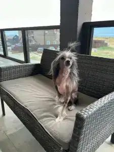 ВесеЛофт - 84