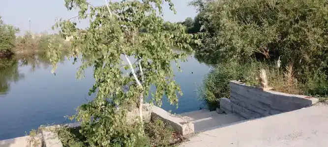 База отдыха у Викторовича - 20