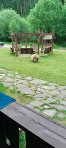 Солонечный - 70