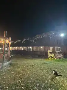 Солонечный - 64