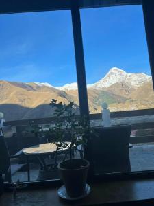 Alpine Lounge Kazbegi - 18