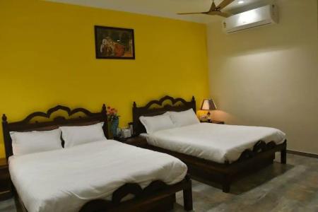 Jaipur New - Heritage - 15