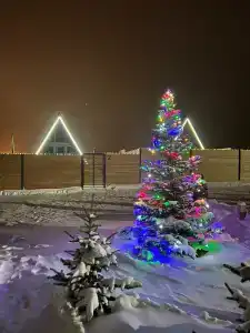 Сафари - 1
