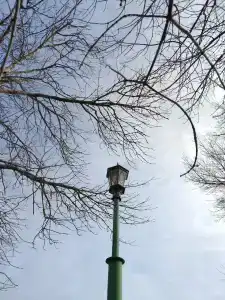 База отдыха электродного завода - 38