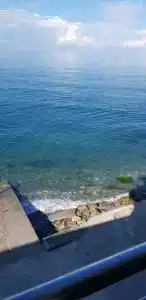 МореЛоо - 39