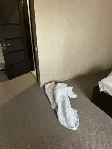 Бальмонт - 62