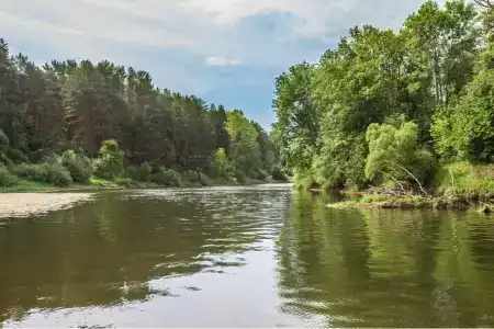 Славянка - 29