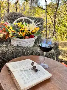 Ильинка лес - 75