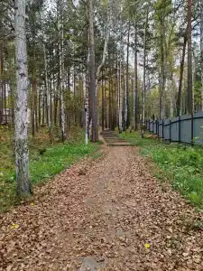 Аленушка - 47