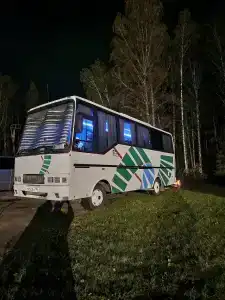 Берёзка - 2