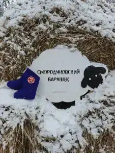 Смородинский барашек - 3