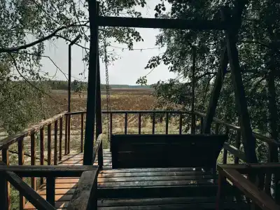 Рассвет - 12