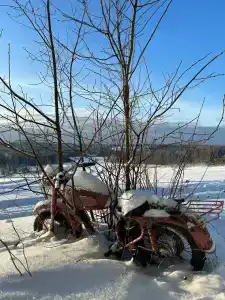 Два Мороза - 31