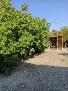 Мозамбик - 4