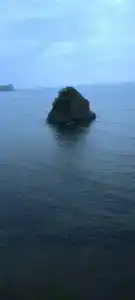 Зелёная полянка - 63